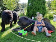 Превью фото № 247399