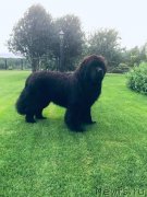 Превью фото № 247407