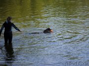 Превью фото № 247428