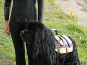 Превью фото № 247429