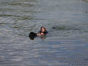 Превью фото № 247433