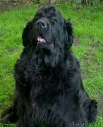 Превью фото № 247443