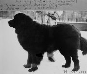 Превью фото № 247473