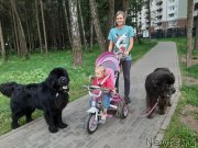 Превью фото № 247498