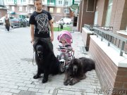 Превью фото № 247501