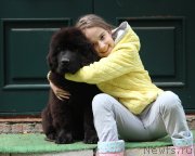 Превью фото № 247507