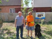 Превью фото № 247538