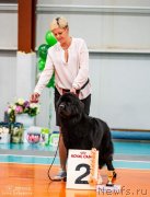 Превью фото № 247551