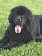 Превью фото № 247552