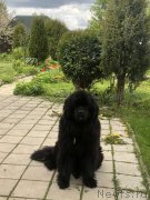 Превью фото № 247553