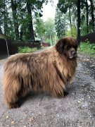 Превью фото № 247558