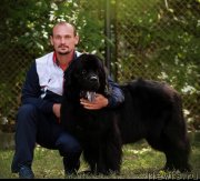 Превью фото № 247562