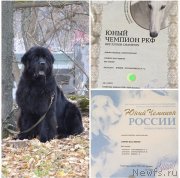 Превью фото № 247565