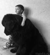 Превью фото № 247567