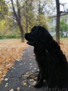 Превью фото № 247571