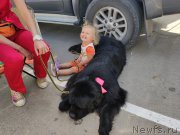 Превью фото № 247628