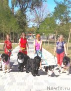 Превью фото № 247631