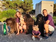 Превью фото № 247651