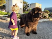 Превью фото № 247652