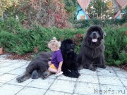 Превью фото № 247658