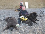 Превью фото № 247662