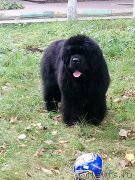 Превью фото № 247674