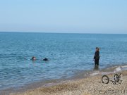 Превью фото № 247693