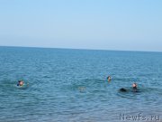 Превью фото № 247696