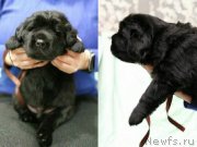 Превью фото № 247757