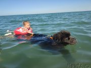 Превью фото № 247792