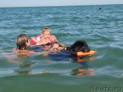 Превью фото № 247797