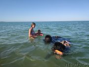 Превью фото № 247800