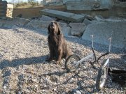 Превью фото № 247804