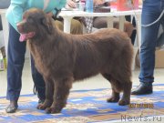 Превью фото № 247815