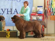 Превью фото № 247816