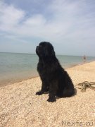 Превью фото № 247825