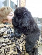 Превью фото № 247844