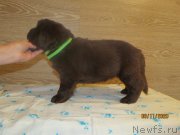 Превью фото № 247853