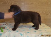 Превью фото № 247856