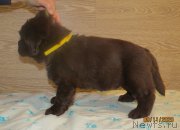 Превью фото № 247862