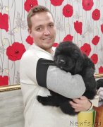 Превью фото № 247867