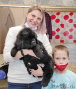 Превью фото № 247868