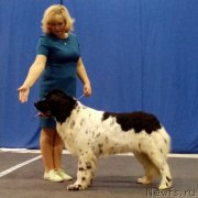 Превью фото № 247882