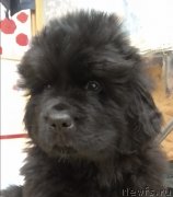 Превью фото № 247886