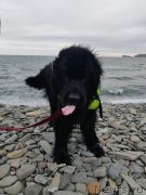 Превью фото № 247907