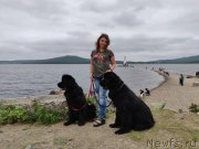 Превью фото № 247908