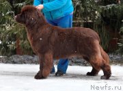 Превью фото № 247968