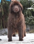 Превью фото № 247969