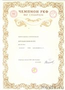 Превью фото № 247988