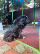 Превью фото № 248009